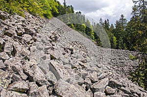 Basalt rocks in the forest