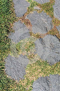 Basalt slabs of an ancient Roman road as a structural background.