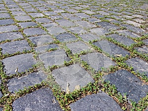 Basalt stone blocks pavement steps with green moss background