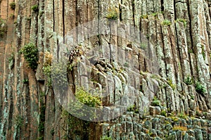 Basaltic Prisms of Santa Maria Regla. Mexico photo