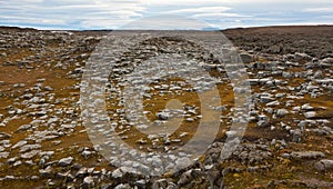 Basaltic rocks fields