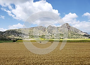 Basar Mountains in Ceyhan, Adana