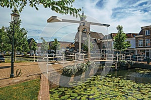 Bascule bridge over the canal with aquatic plants, streets on the banks and houses on a sunny day in Weesp.