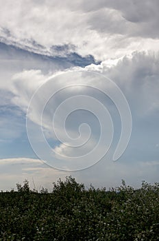 Base cumulonimbus cloud