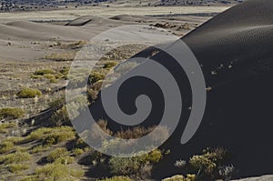 The base of the sand dune in the great basin