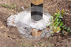 The base of the wooden fence. Fence ranch style details