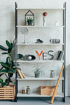 baseball ball glove and plants on shelf