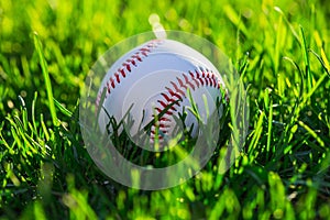 Baseball Ball on Grass Field