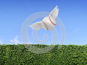 Baseball ball have wings fly in the air on blue sky and green grass wall background