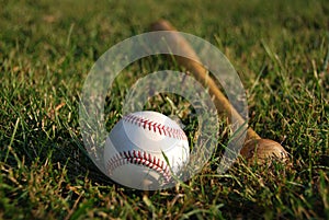 Baseball with Bat