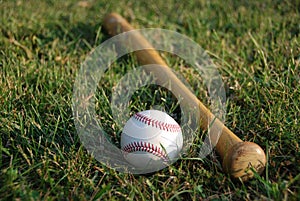 Baseball with Bat