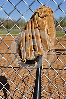 Baseball Bat and Glove