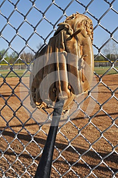 Baseball Bat and Glove