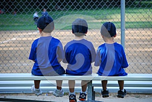 Baseball bench warmers