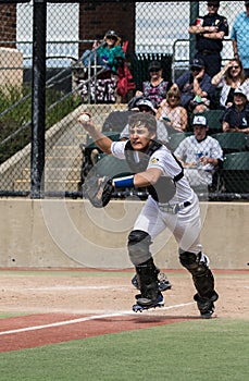 Baseball Catcher Action