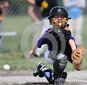 Baseball catcher missing ball