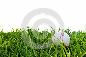 Baseball in Dewy Grass
