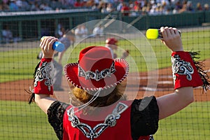 Baseball Entertainer