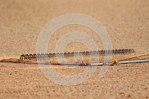 Baseball equipment on the field