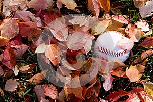 Baseball in fall season