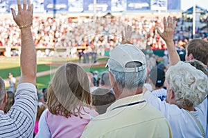 Baseball Fans