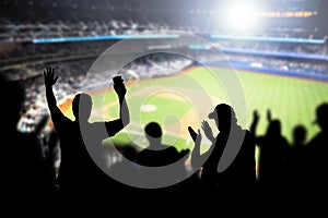 Baseball fans and crowd cheering in stadium.