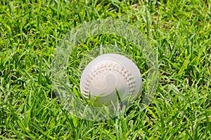 Baseball on the fresh green grass .