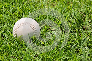 Baseball on the fresh green grass .