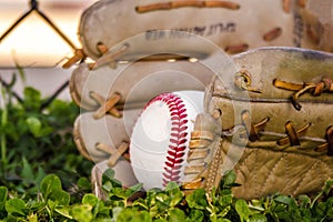 Baseball game mitt and ball