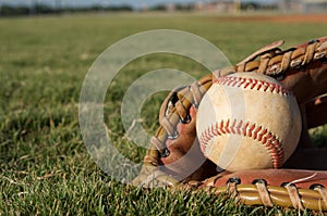 Baseball in a Glove