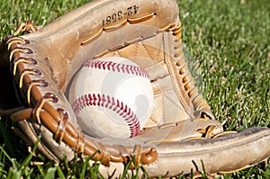 Baseball glove photo