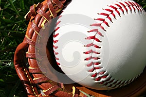 Baseball and Glove