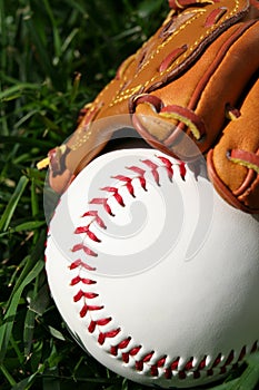 Baseball and Glove