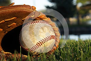 Baseball Glove Laying In Grass