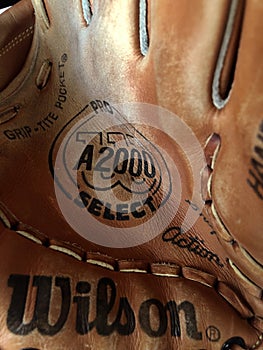 Baseball Glove