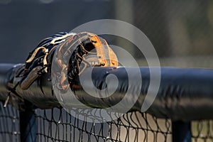 Baseball Gloves in Dugout