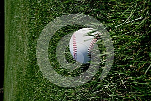 Baseball in grass