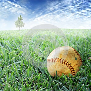 Baseball in grass