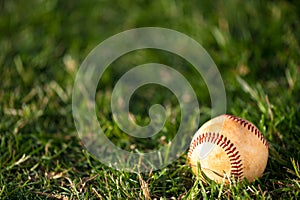 Baseball on Grass