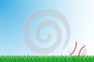 Baseball grass field vector illustration