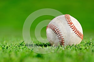 Baseball in grassy field