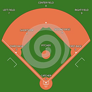 Baseball green field with white line markup vector