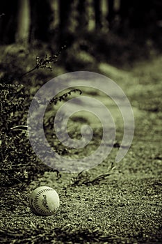 Baseball on ground behind the home run fence