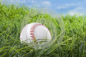 Baseball lying in the grass