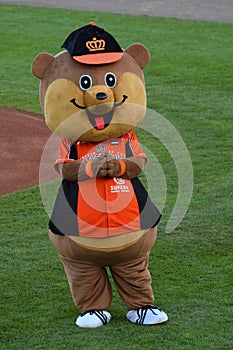 Baseball mascotte prior to evening baseballgame