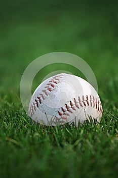 Baseball in the outfield