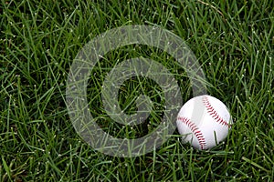 Baseball in the outfield