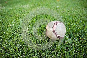 Baseball in Outfield Grass