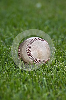 Baseball in Outfield Grass