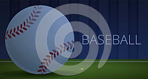 Baseball pitch concept banner, cartoon style